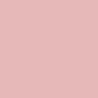 ELVO Puffy Liquid Blush With Soft Sponge Applicator
